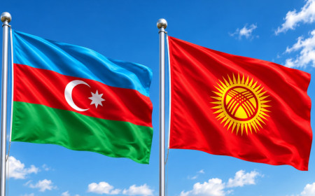 Azərbaycan və Qırğızıstan prezidentləri mətbuata bəyanatlarla çıxış ediblər