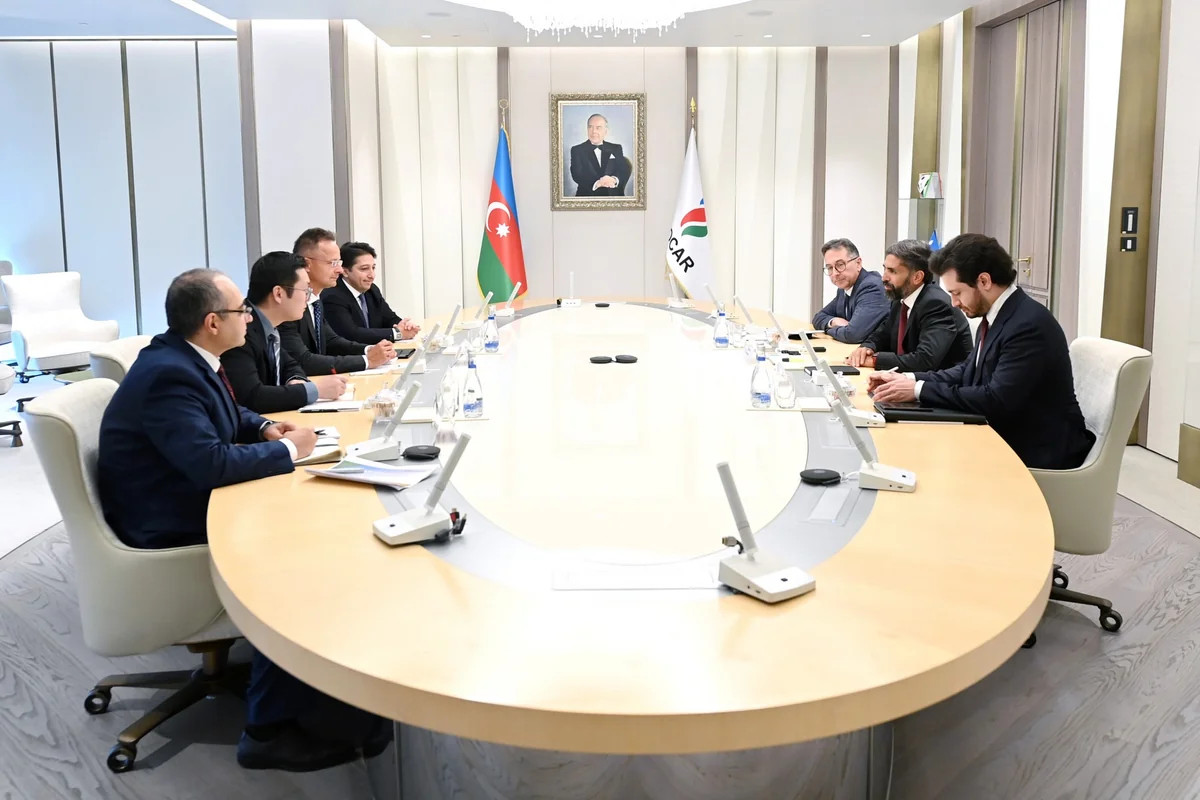 SOCAR-ın prezidenti BYD-nin rəhbər şəxsi ilə görüşüb