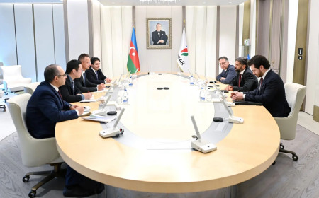 SOCAR-ın prezidenti BYD-nin rəhbər şəxsi ilə görüşüb