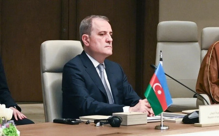 Bayramov ATƏT PA-nın prezidenti ilə görüşdü