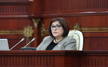 Milli Məclisin plenar iclasında
