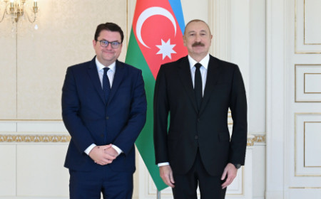Prezident İlham Əliyev Avstriyanın Azərbaycanda yeni təyin olunmuş səfirini qəbul edib